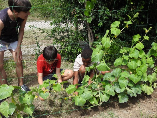 Зелено селско училище приобщава деца от различни етноси към опазване на околната среда 